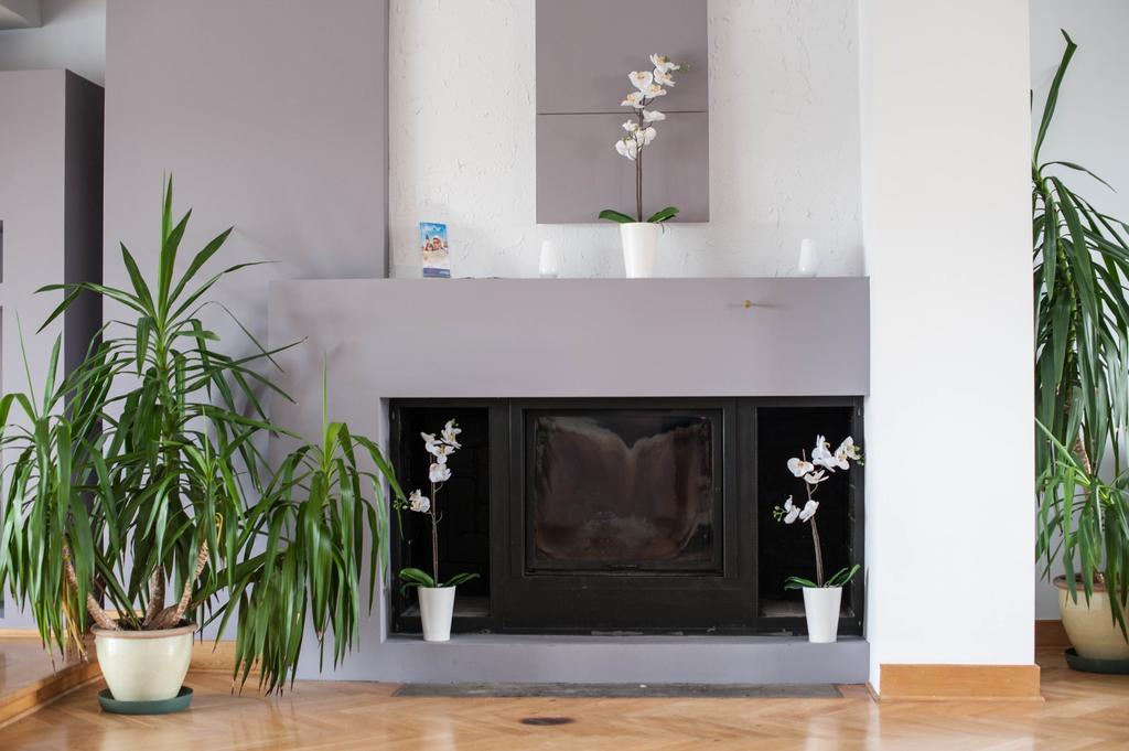 مبيت وإفطار كراكوفيا Okay House المظهر الخارجي الصورة